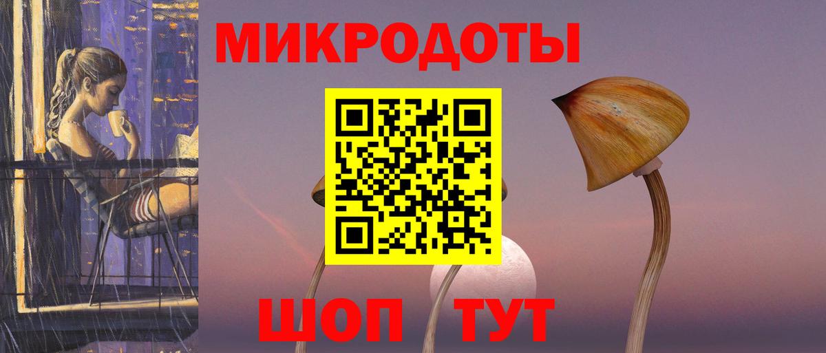 Кандалакша  Галлюциногенные грибы Psilocybine cubensis  Вход с VPN 
