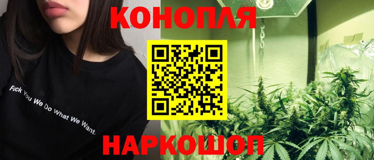 Каннабис план Кандалакша